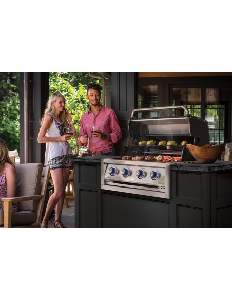 BROIL KING Regal 420 empotrable Broil King - 11