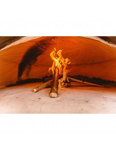 Oven Virtus Forno Vivo - 1 2