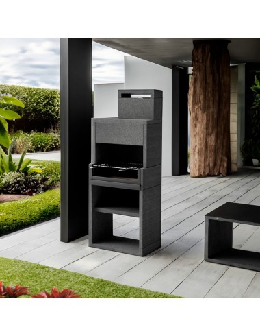 Barbecue Black Venit Plus Hotte 78 Tuozi - 5 2